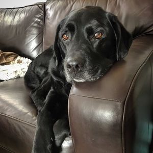 Meet your Posher, Traci